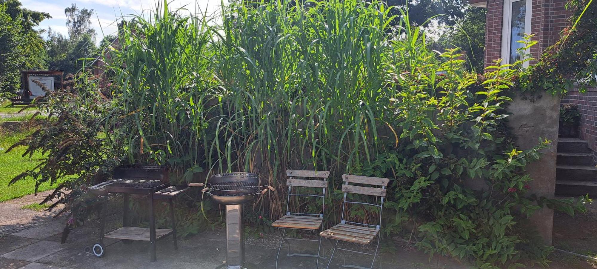 Schillers Landhaus Neu Darchau Luaran gambar