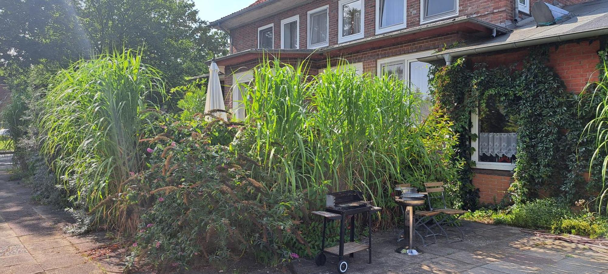 Schillers Landhaus Neu Darchau Luaran gambar