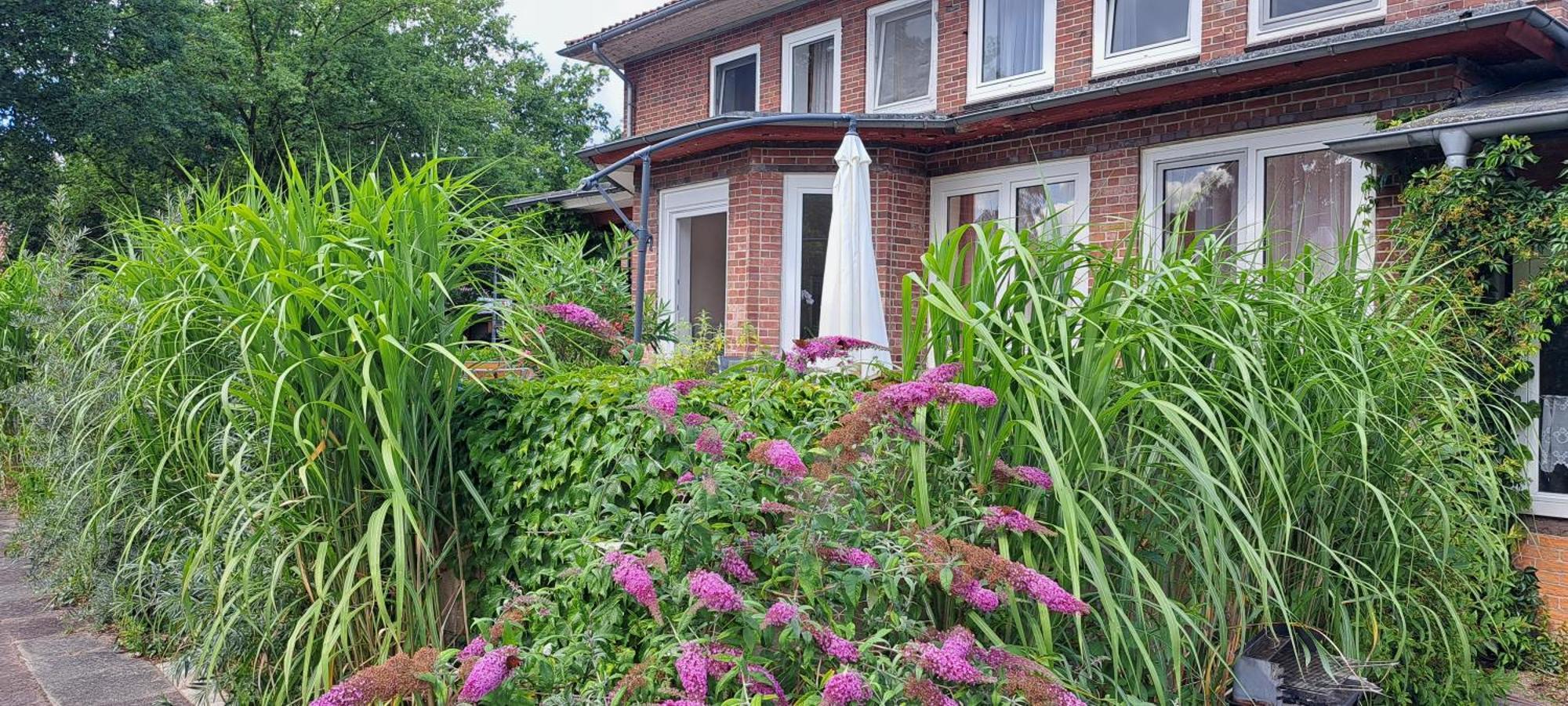 Schillers Landhaus Neu Darchau Luaran gambar